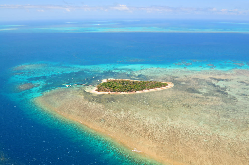 the Great Barrier Reef Tour