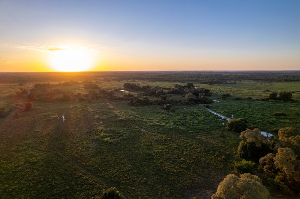 Pantanal Travel Guide