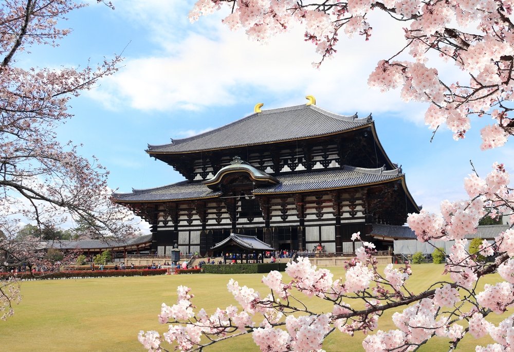 Best Places to Visit in Nara