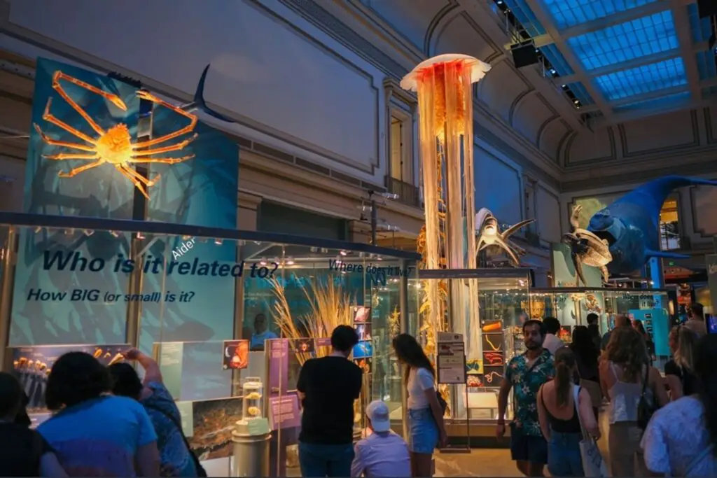 Best Places to Visit in Washington