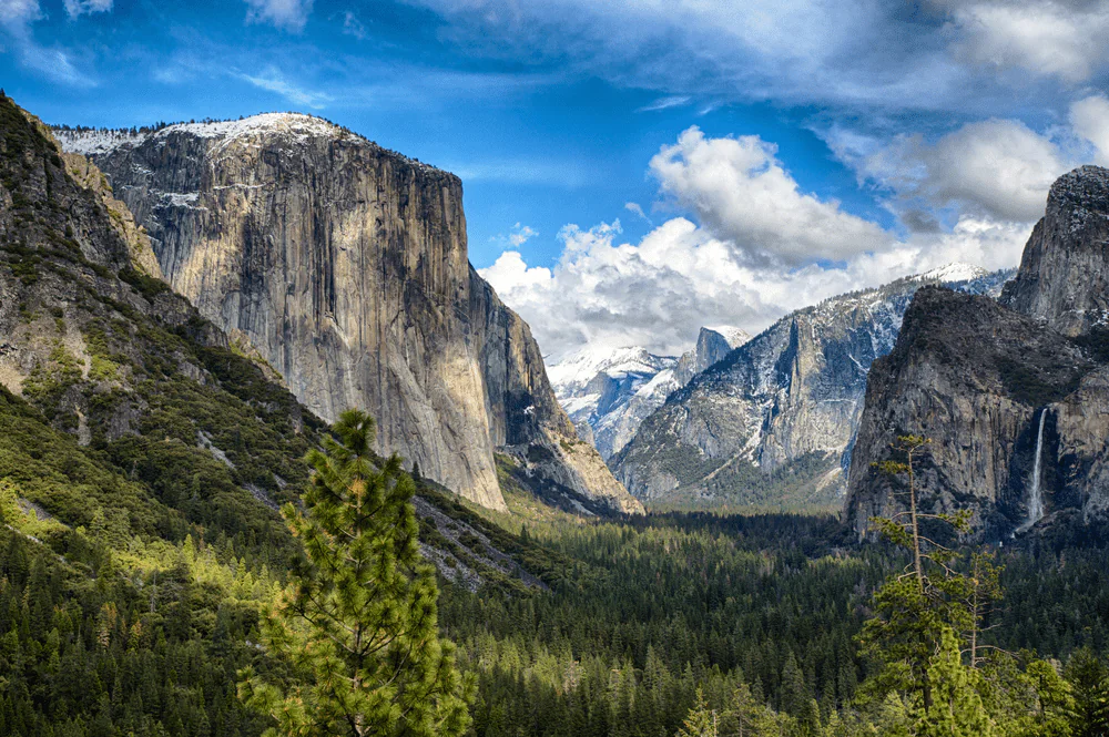 Yosemite National Park Guided Tours