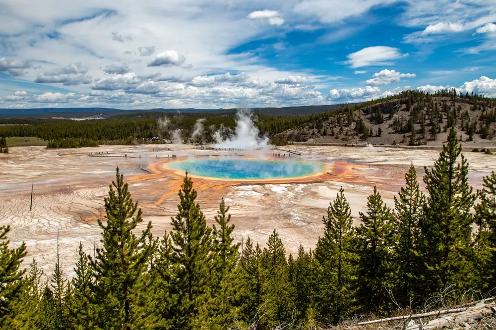 Yellowstone National Park Guided Tours
